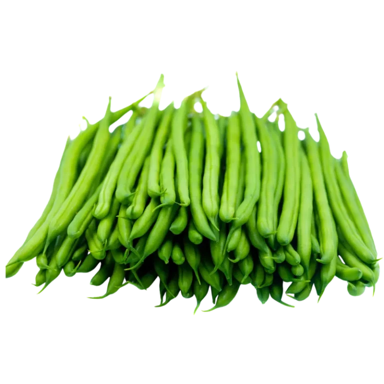 Fine French Beans