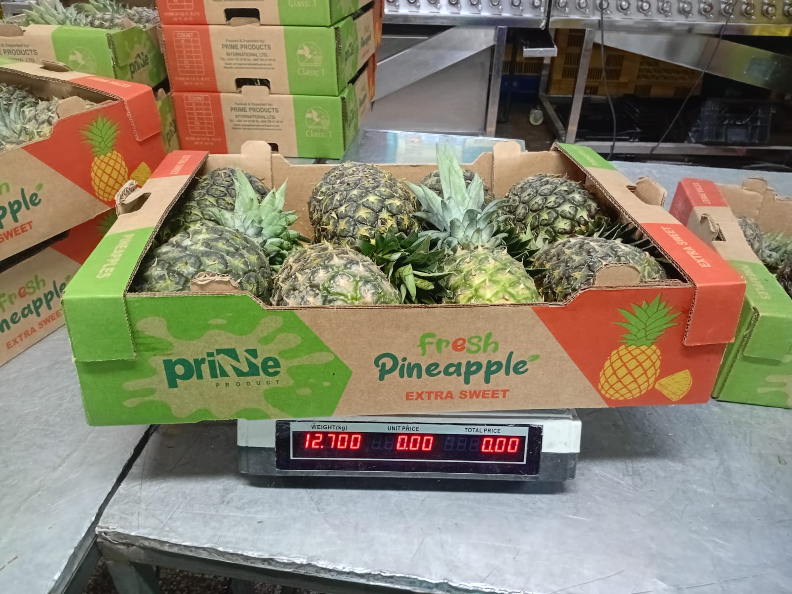 Coastal Pineapple
